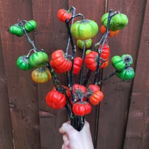 Red ruffled eggplant