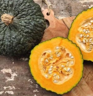 Squash-Marina-di-Chioggia Marina chioggia pumpkin