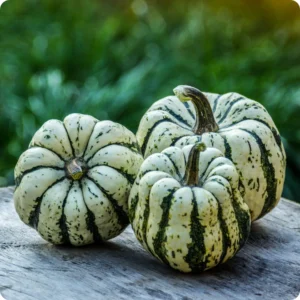 Sweet dumpling squash