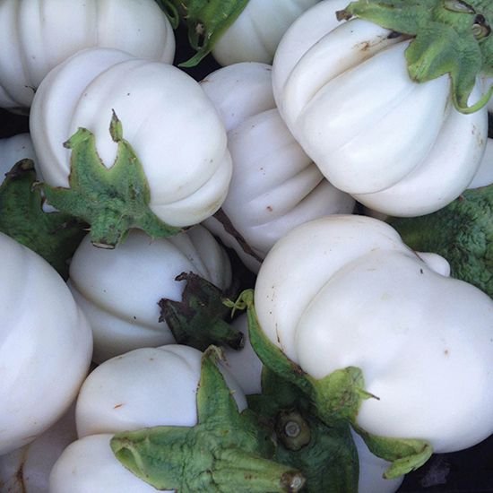 White ruffled eggplant
