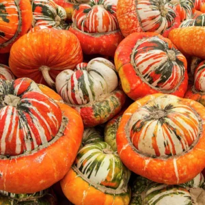 Turban squash