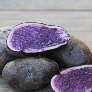 vitelotte blue potato