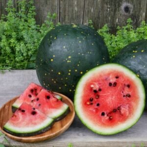 Red Moon and Stars Watermelon