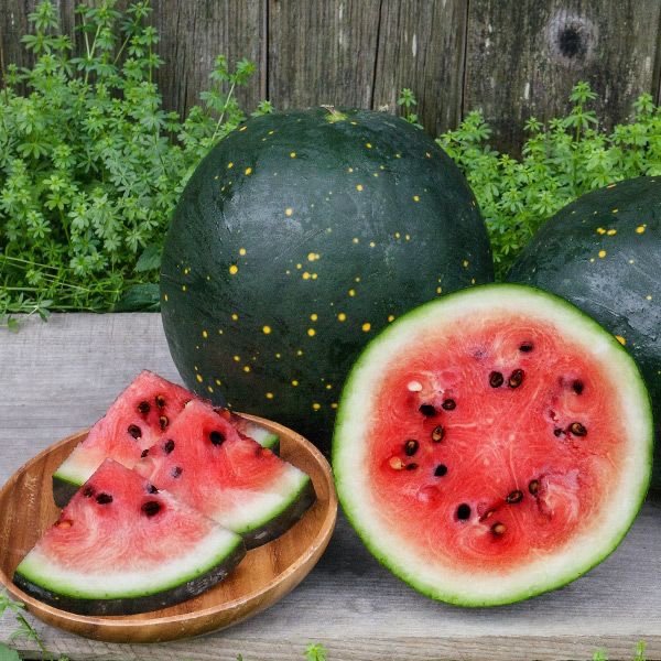 Red Moon and Stars Watermelon
