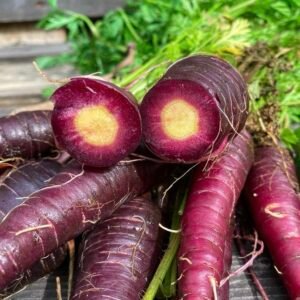 Cosmic Purple Carrot