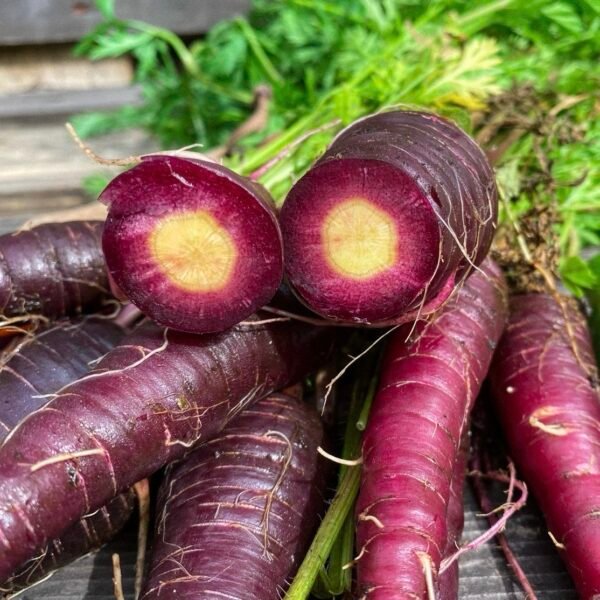 Cosmic Purple Carrot
